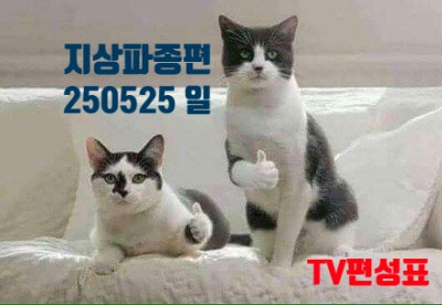 지상파종편 TV편성표 250525 일요일