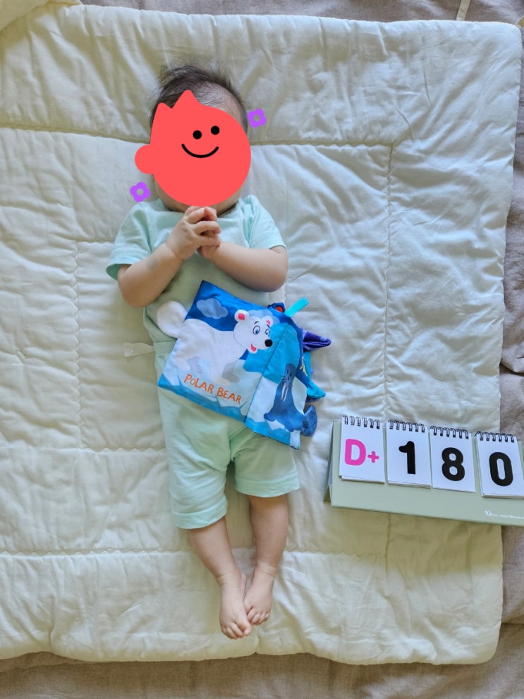  [육아일기] 6개월 맞은 26주차