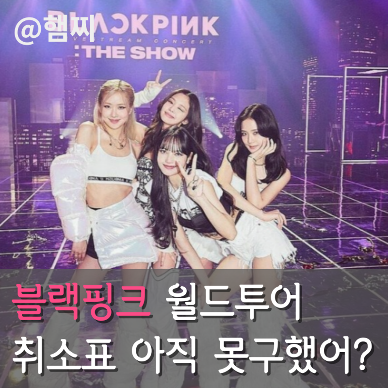 BLACKPINK高陽演唱會2025世界巡迴：預訂取消的視野受限票