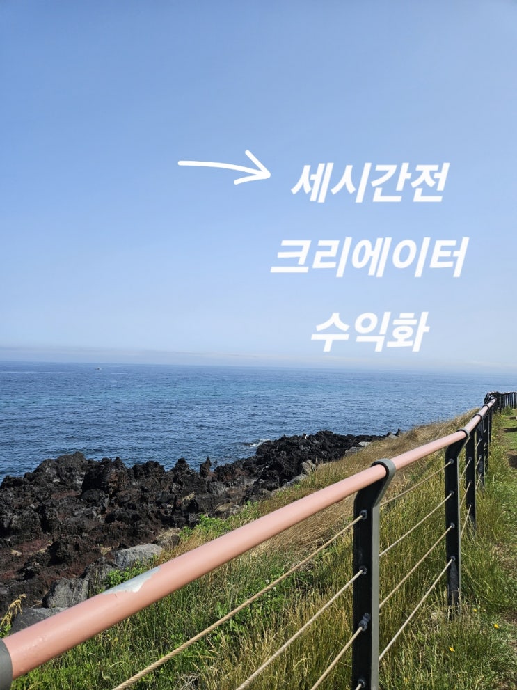  여행 블로거 필수! 세시간전 추천인코드 수익화 꿀팁