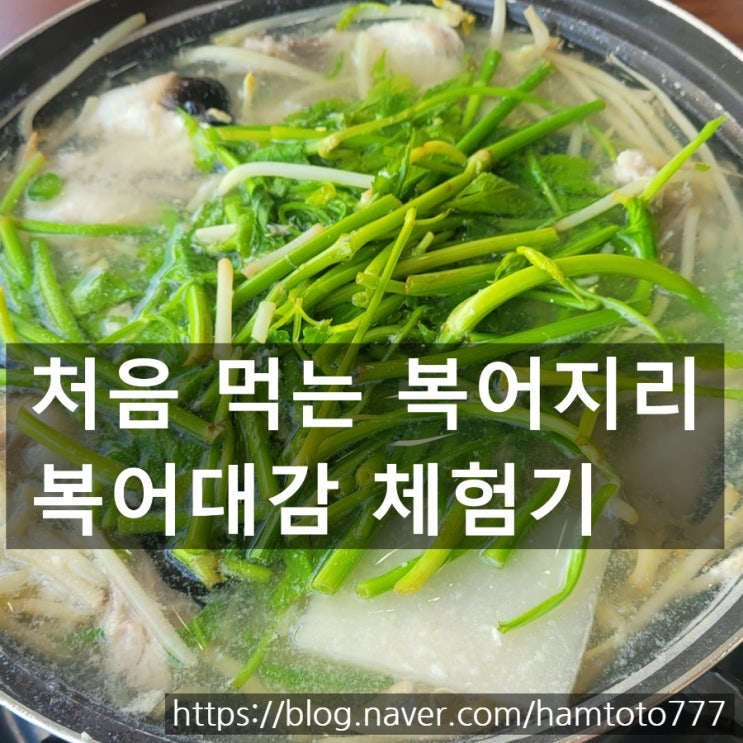  [내돈내산] 부천 복어대감｜처음 먹은 참복 지리와 복어튀김, 미식가 친구도 반했어요!