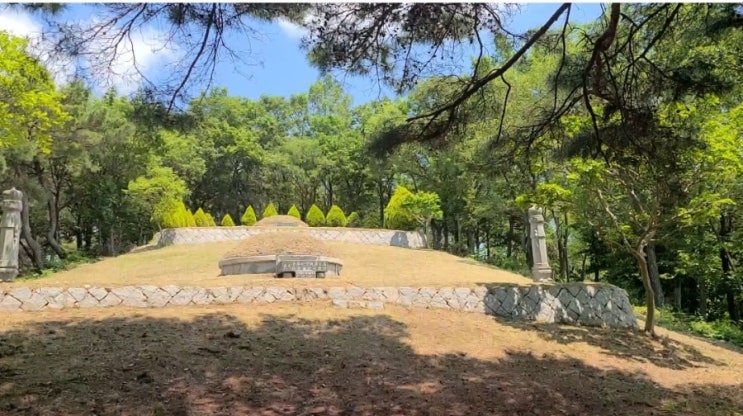  울산 신두왕로220 봉분 2기 100평 벌초대행("울산벌초대행")