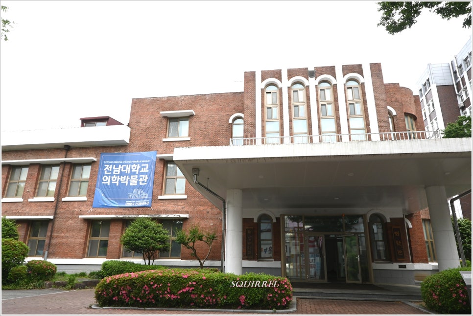 전남대학교 의학박물관 사진 1