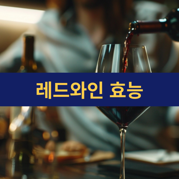  레드와인 효능 | 적포도주 효능 | 프렌치 패러독스 | 영양 성분 | 가성비 레드와인 추천