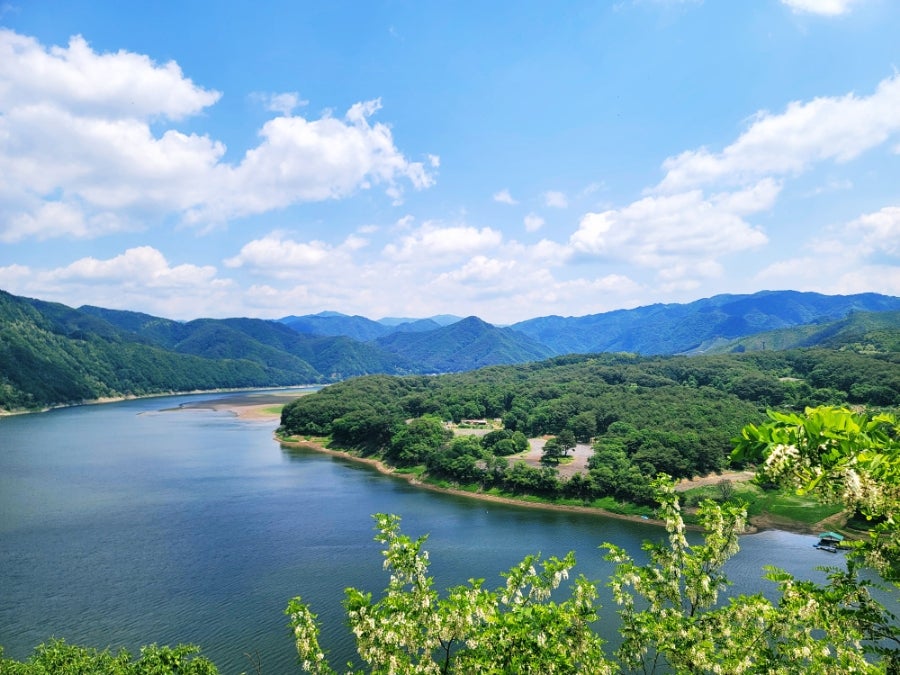 러빙네이쳐캠핑장 사진 4