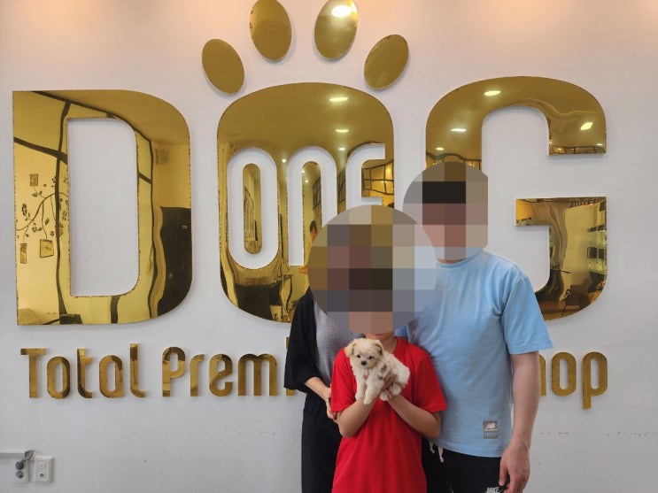  세종시에서 11년간 꾸준히 운영된 신뢰의 이름, 원독 애견분양센터 말티푸 공주님 분양 후기
