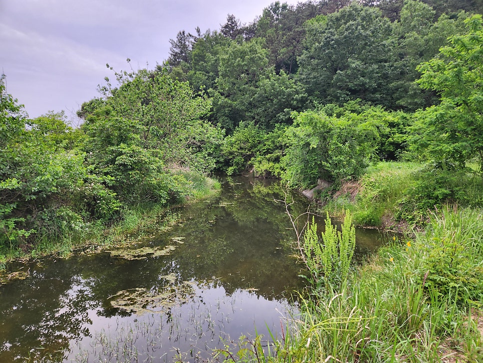 평산제 사진 4