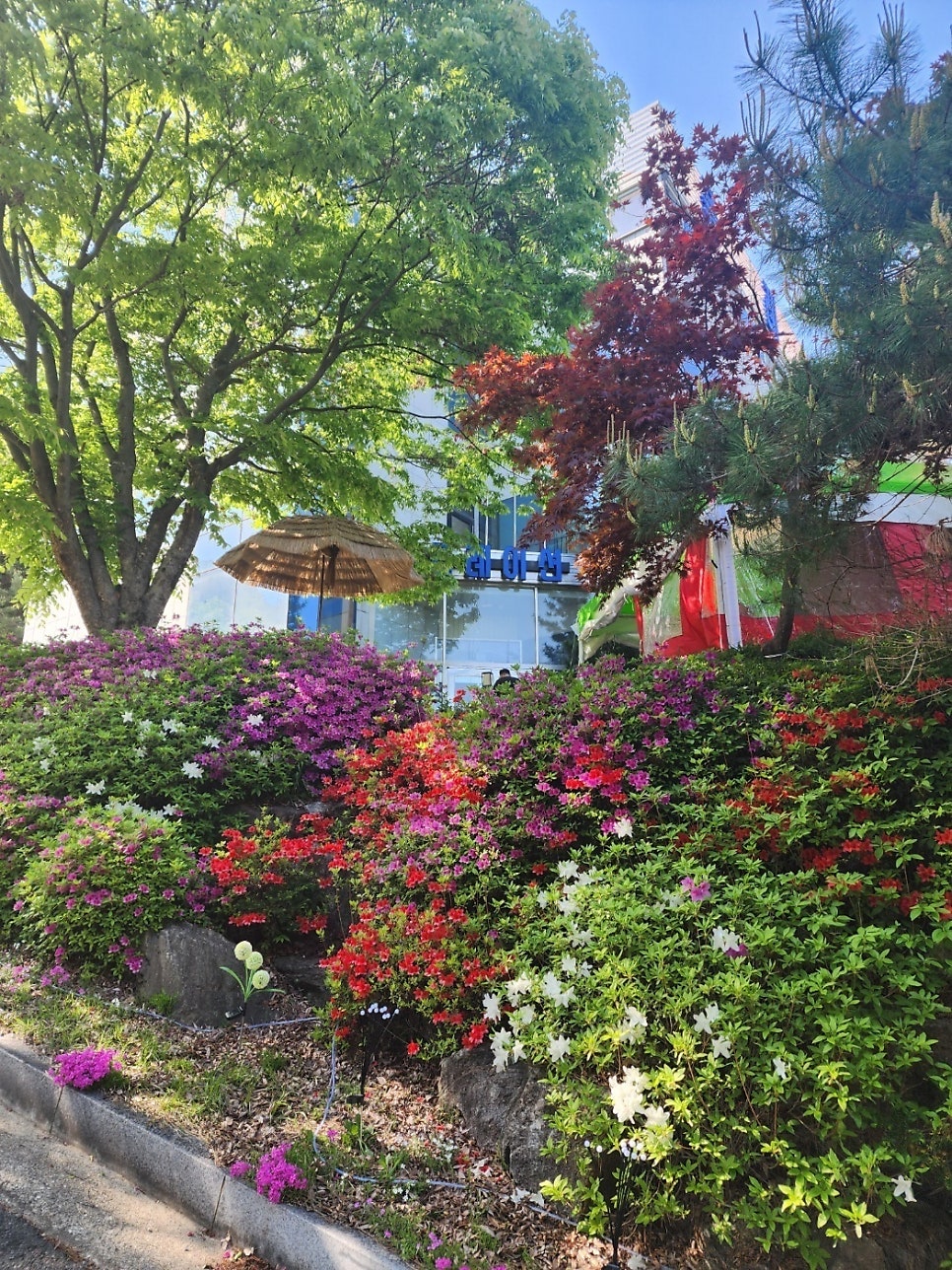 플레이션펜션 사진 2