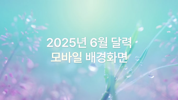  2025년 6월 달력 배경화면 (아이폰 16 프로맥스) – 고해상도 감성 이미지 6종