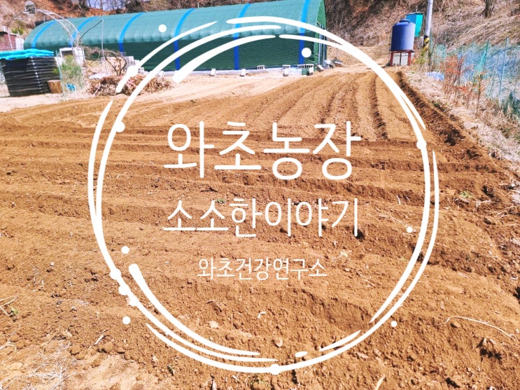  와초농장 농사일기, 안압산 품에서 시작하는 봄, 퇴비 뿌리고 햇살 담은 하루
