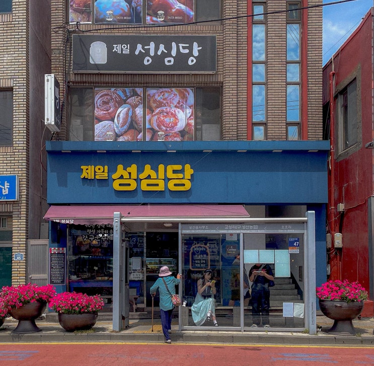  성심당 제주점? 추천 빵까지 딱 정해드려요