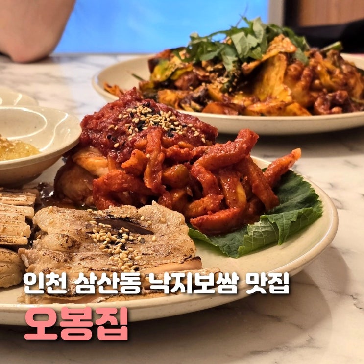  인천 부평 굴포천역 맛집 오봉집 메뉴 낙지오봉스페셜 추천