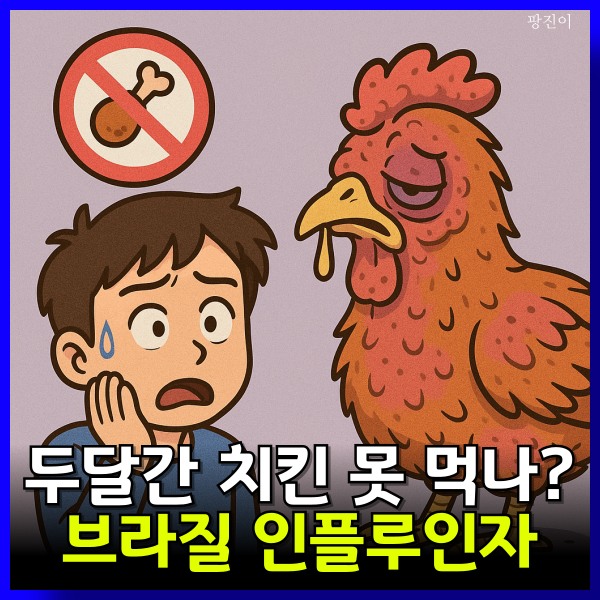  브라질 조류인플루엔자 관려주 - 두달간 치킨 닭 못 먹나?