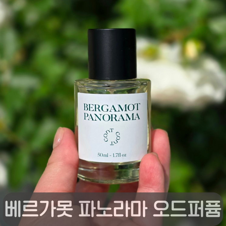  베르가못 파노라마 오드퍼퓸,여름에 어울리는 시트러스 향수 솔직 리뷰