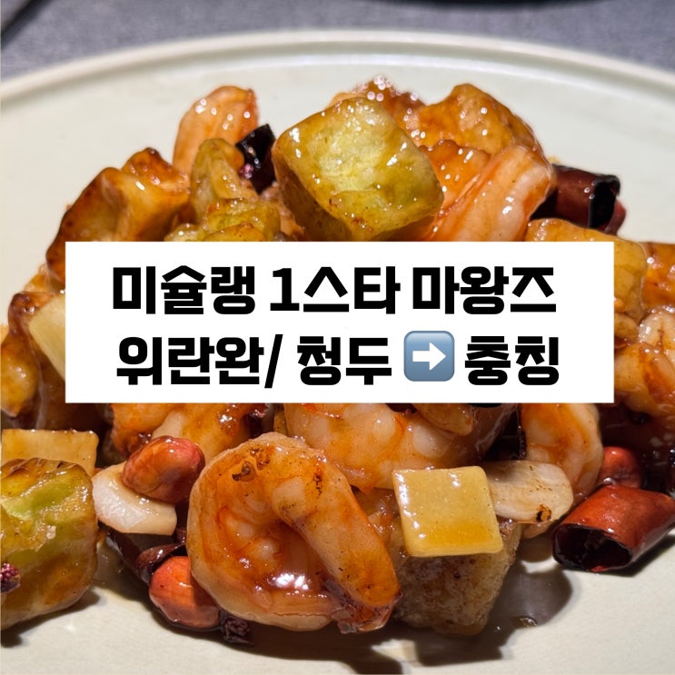  청두 미슐랭 1스타 ‘마왕즈’ / 밀크티 맛집 ‘위란완’ / 청두에서 충칭으로 기차타기