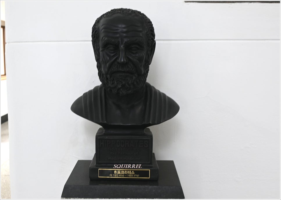 전남대학교 의학박물관 사진 4