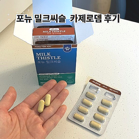  밀크씨슬 추천 포뉴 밀크씨슬 카제로템 간 영양제로 간 건강관리
