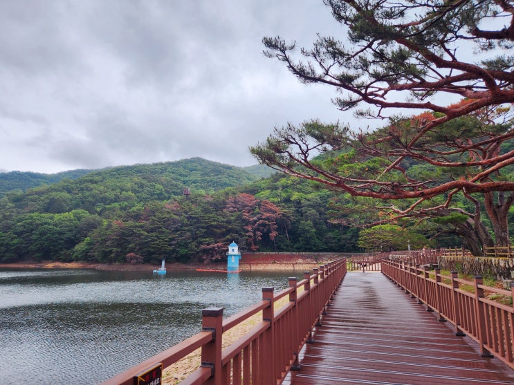  경남 양산 가볼만한곳 1박2일 촬영지, 양산 법기수원지 주차 볼거리