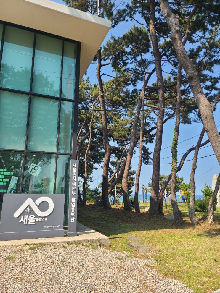  울산 울주 새올 파빌리온 주변 80평  예초 및 제초대행("울산예초대행")