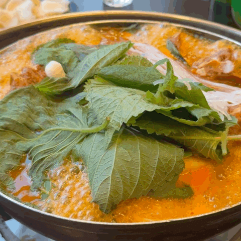  건대 회식 어디서 해? 현지인 맛집 ‘돕감자탕’ 후기! 단체예약 가능