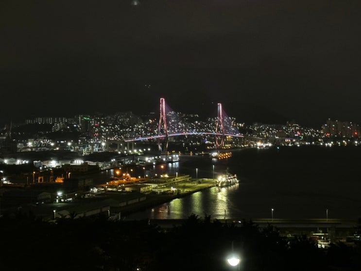  [부산 남구] 영도바다와 부산항대교 야경을 한눈에 볼 수 있는 '우암동도시숲'