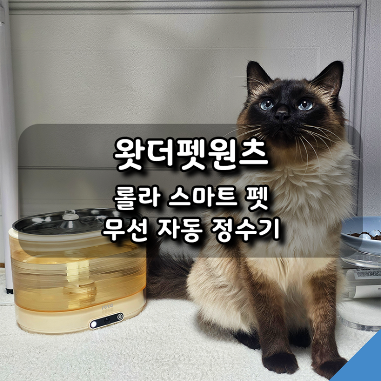  무선, 무소음 고양이정수기, 롤라 스마트 펫 정수기 추천!