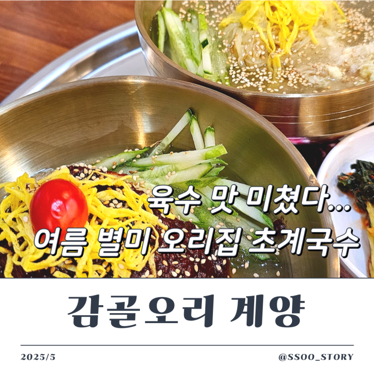  식사도 가능한 감골오리 계양산 맛집에서 즐긴 초계국수