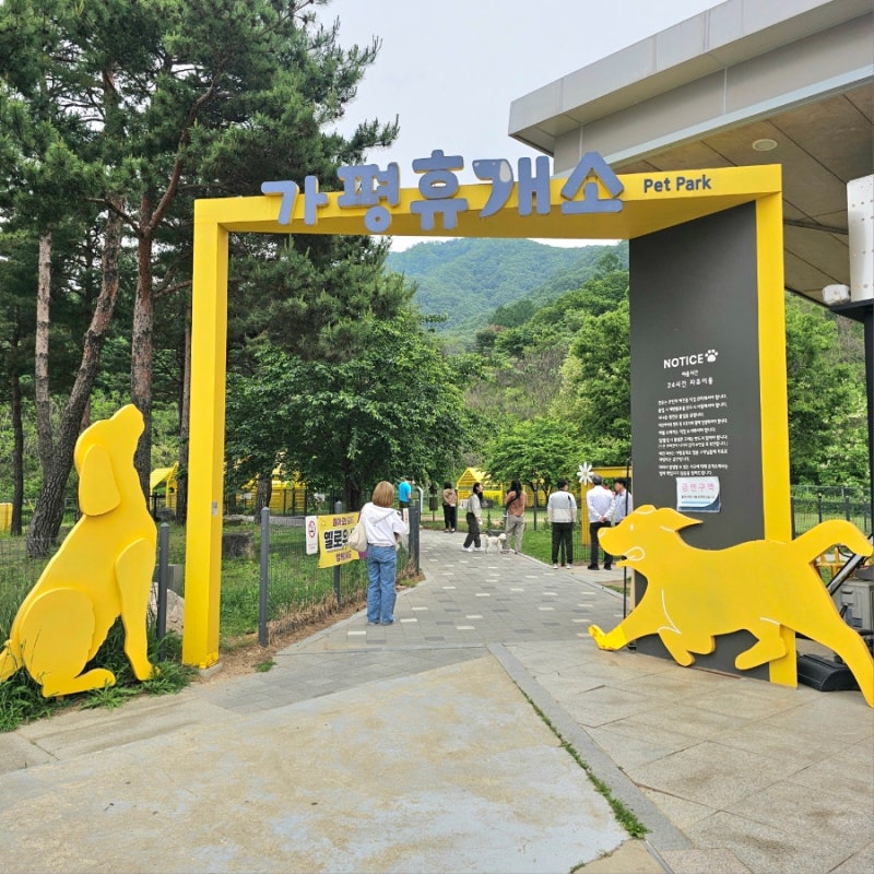 사진 5