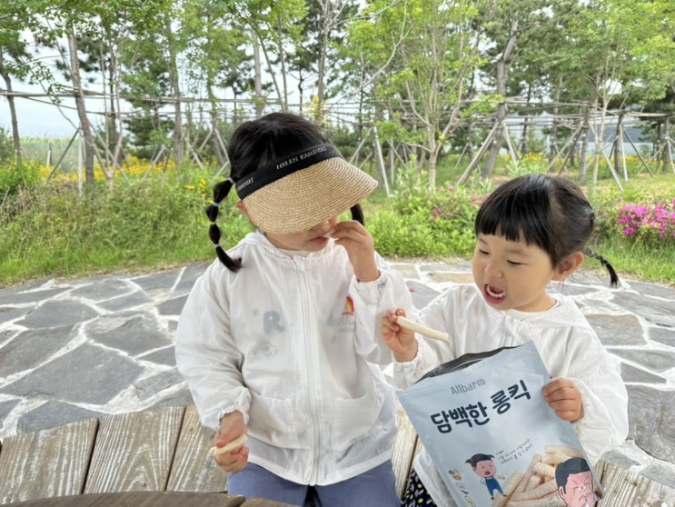 올바름 떡뻥 쌀과자 편의점 아기과자로 언제쯤 들어올까?
