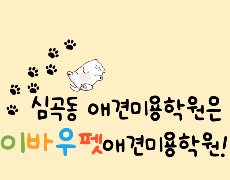  부천 심곡동 애견미용학원 추천해요