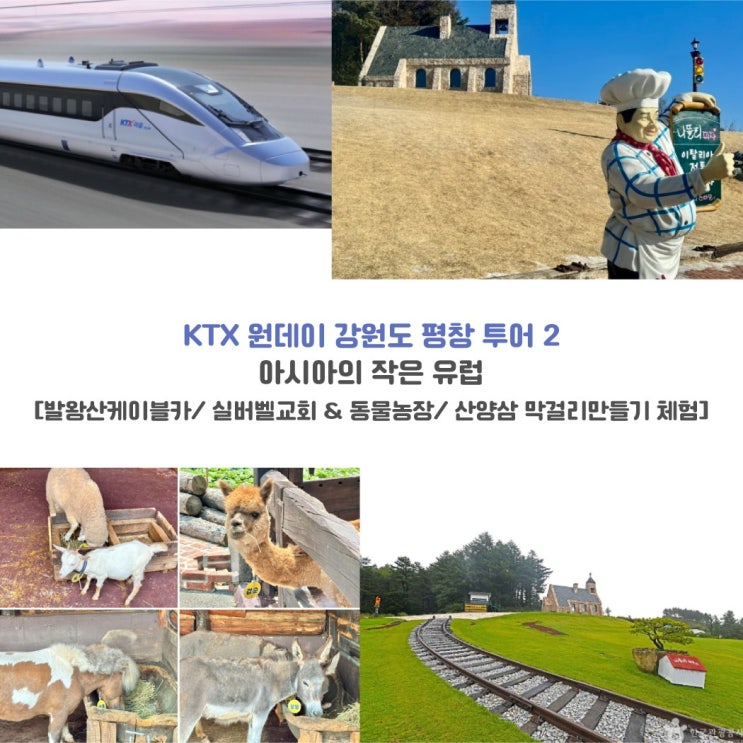  KTX 타고 즐기는 'K-컬처·유럽 감성' 당일치기 평창 여행[한국철도일보]