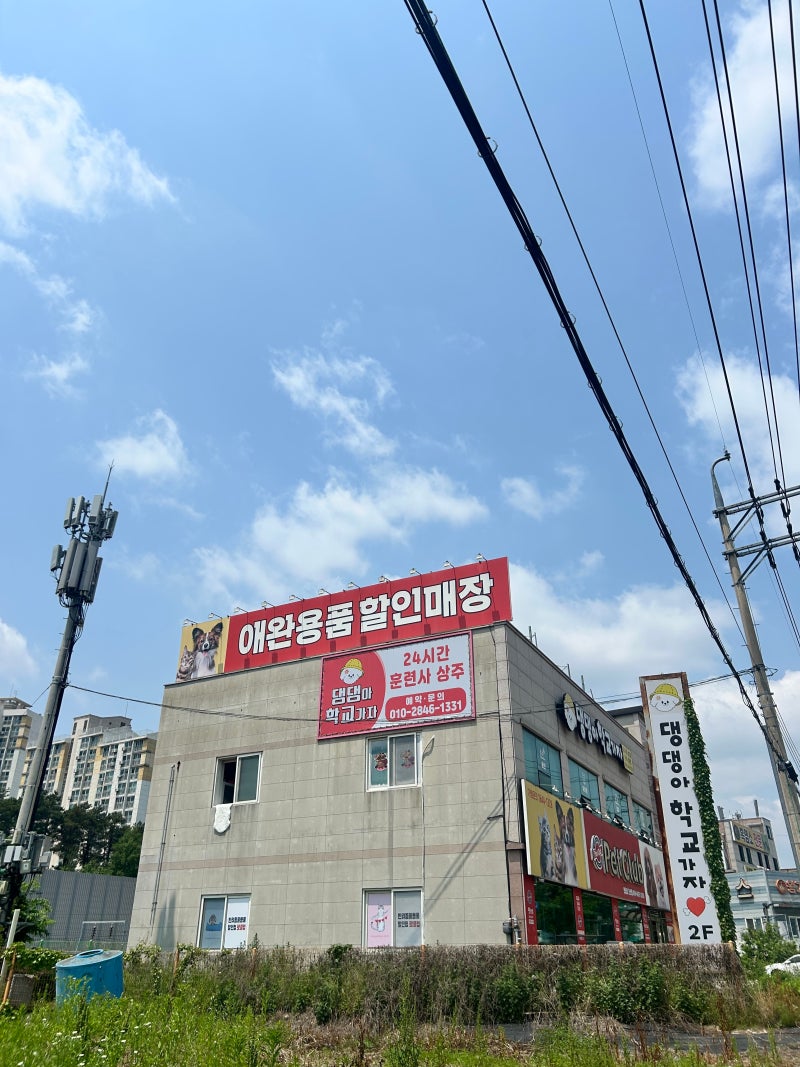 사진 8