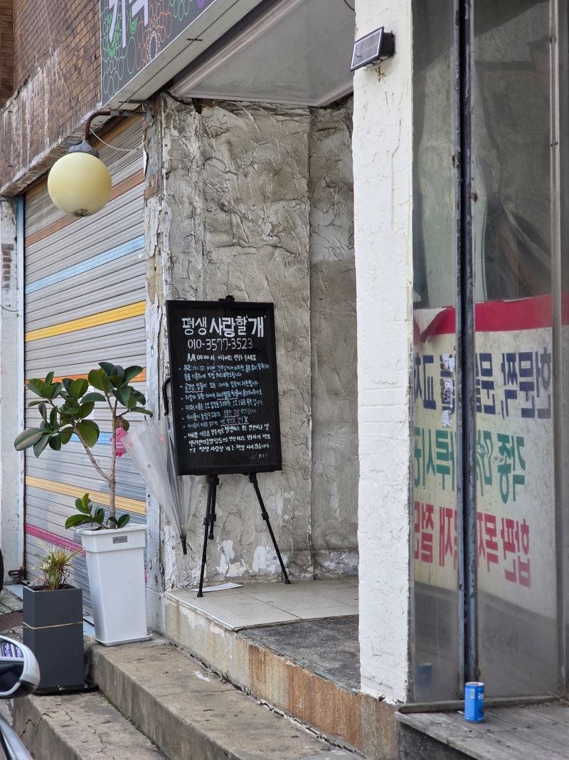 사진 3