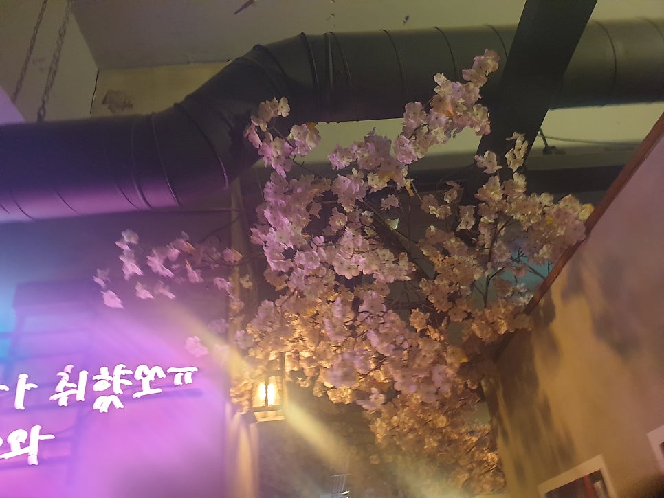 쌈뽕포차 성당점 사진 5