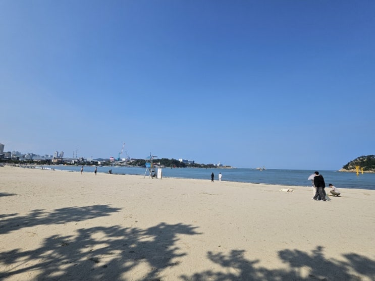  [울산 가볼만한곳] 일산해수욕장, 대왕암공원, 대왕암 출렁다리 - 노잼도시 울산 아닙니다!