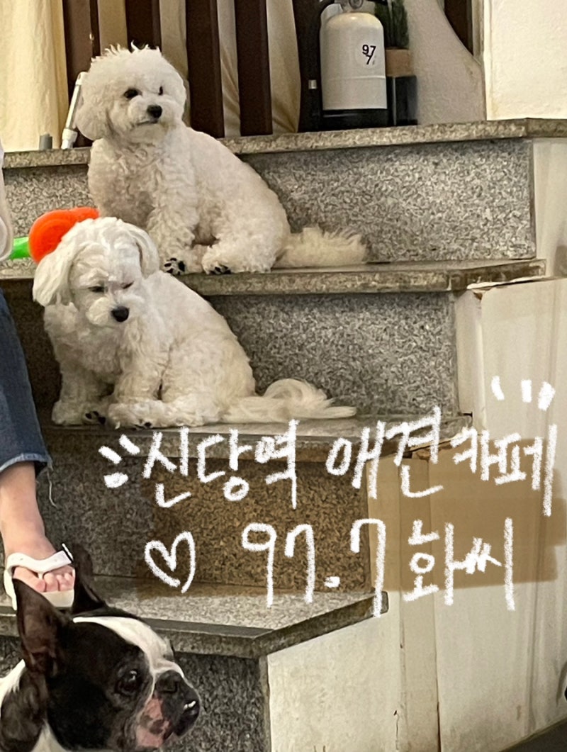 사진 3