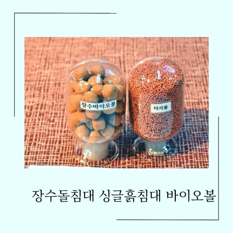 장수돌침대 싱글 흙침대 바이오볼 지금 가격 혜택 챙겨요