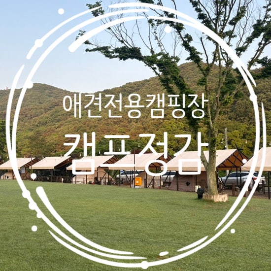 애견전용캠핑장 대형견도 ok 캠프정감