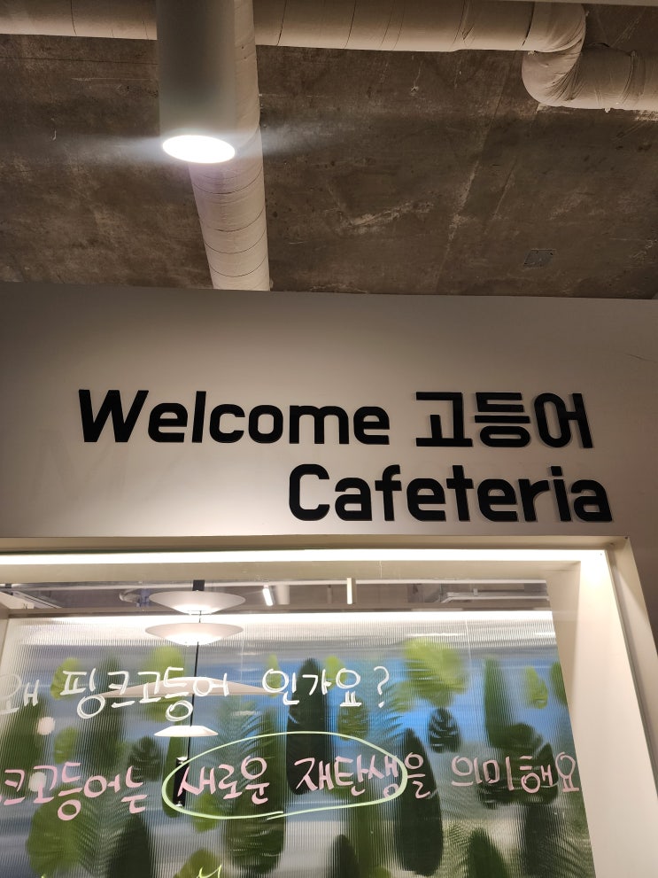  양주 고읍 소품샵 추천 "핑크고등어" (with.양주 고읍 공간대여)