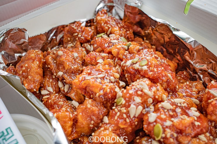  대전 중앙시장 맛집 스모프치킨 이원일 홍석천맛집 꼬시장 포장후기