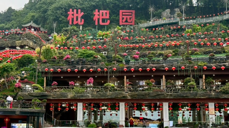  충칭 여행, 세상에서 제일 큰 훠궈집, 충칭 비파원 훠궈 후기 위치 메뉴