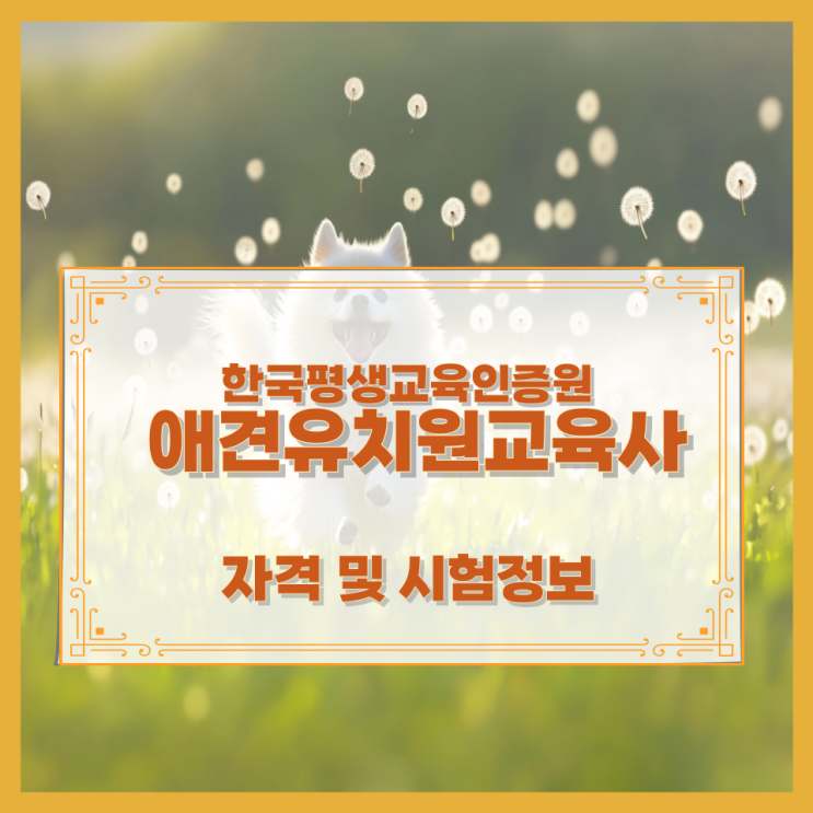 한국평생교육인증원 애견유치원교육사 자격 및 시험정보 한국평생교육인증원 애견유치원교육사 자격 및 시험정보