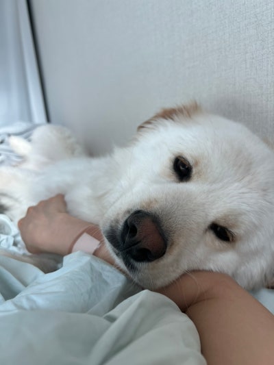 사진 5