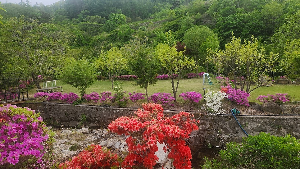 윤슬펜션 사진 6