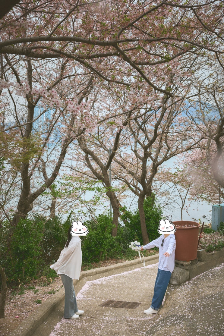   부산 세미 웨딩 야외스냅 촬영 후기_식전영상/식중영상/모청용 캐주얼 가성비 웨딩스냅