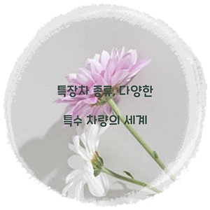 특장차 종류, 다양한 특수 차량의 세계