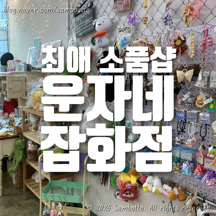  [내돈내산] 재방문 부르는 파주 운정 소품샵 운자네잡화점 내돈내산 후기!