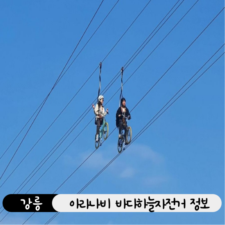  정동진 여행코스 추천, 아라나비 바다하늘자전거 + 짚라인 가격 및 예약팁