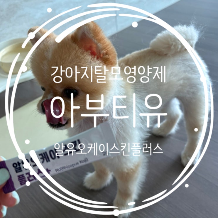  포메 알로페시아 영양제 아부티유