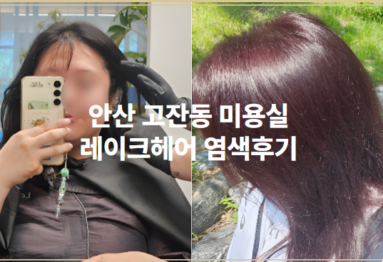  안산고잔동 미용실추천 레이크헤어 레드바이올렛 염색 후기